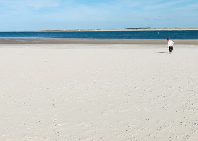 Kleiner Junge sucht in seinen Ferien Muscheln am Strand von Baltrum
