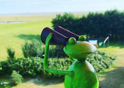 Grüner Froschfigur guckt mit Fernglas vom Balkon Richtung Meer