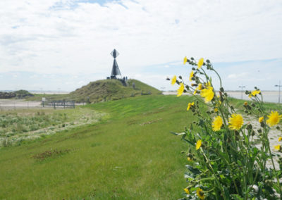 Gelbe Blumen auf dem Deich