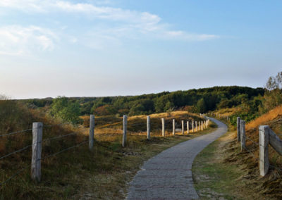 Malerischer geschwungener Wanderweg auf Baltrum