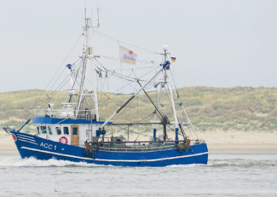 Blauer fahrender Kutter vor Baltrum