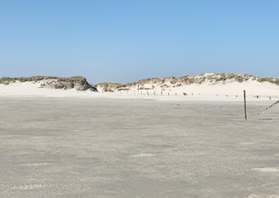 Strand mit Dünen und blauem Himmel