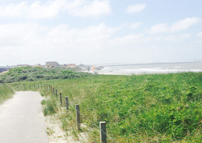 Wanderweg auf Baltrum mit grünen Pflanzen und Blick auf das Meer